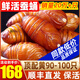 遼夢【銷量20萬+只】蠶蛹鮮活發(fā)貨東北特產(chǎn) 新鮮繭蛹特級大黃蠶蛹蟬蛹 頂配黃蛹 凈重1000g【90-100只】