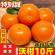 正宗廣西沃柑薄皮桔子現(xiàn)摘現(xiàn)發(fā)新鮮手剝柑橘應季新鮮水果 5斤裝[凈重4.5斤] 65-70mm