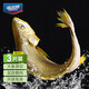 海名威寧德三去大黃魚 對半厚切黃花魚 凈重2斤/3片裝 海鮮 魚類 