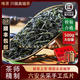 唯茶手工六安雨前瓜片2025新茶特級(jí)正宗安徽綠茶雨前春茶濃香型茶葉禮盒裝 500G
