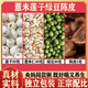 內(nèi)廷上用央媽同款粥薏米蓮子綠豆陳皮大米中藥材煮粥喝即好喝又養(yǎng)生湯茶包 85克*10包(加強(qiáng)裝)