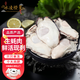 冰凌橙夏 生蠔肉高品質(zhì)新鮮生蠔肉鮮活現剝去殼海鮮即食海蠣子牡蠣肉海鮮 去殼生蠔肉3斤裝 30-35粒/斤