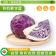 沈佳農(nóng)有機(jī)紫甘藍(lán)新鮮生吃紫包菜蔬菜配送生吃沙拉榨汁食材500g有機(jī)菜 紫甘藍(lán)500g