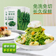 素坊（Sofine）菠菜段 應季菜免洗免切冷凍速食半成品預制菜速凍保鮮急凍 300g*4袋
