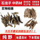 吾家余堂石龍子中藥材四腳蛇豬婆蛇山龍子原料原料 50克