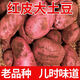 格沃斯【新上市】正宗云南紅皮黃心土豆農(nóng)家洋芋現(xiàn)挖馬鈴薯批發(fā)新鮮蔬菜 優(yōu)選 云南紅皮黃心大土豆 粉糯 紅皮土豆 【5-6斤】大個(gè)