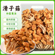 知香嘗味滑子菇干貨滑子蘑菇干貨滑菇無(wú)根小黃蘑滑菇小雞燉蘑菇250g