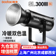 神牛（Godox） SL300WIIIBi雙色溫led直播補光燈網(wǎng)絡(luò )影棚常亮燈室內人像婚紗攝影拍照 SL300IIIBI三代單燈頭