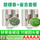 安純2025新茶綠茶茶葉套裝碧螺春茉莉花茶毛峰毛尖雀舌組合發(fā)茶葉禮盒 碧螺春+雀舌 250g*2盒