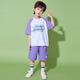 魅樂凱兒童啦啦隊(duì)六一演出小學(xué)生運(yùn)動會開幕式班服幼兒園拉拉操表演服裝 白拼紫上衣+紫短褲+襪子+方巾 130 （女款偏小，男款標(biāo)準(zhǔn)）