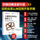 大模型應(yīng)用開發(fā)極簡入門 第2版 基于GPT-4和ChatGPT 人工智能深度機器學(xué)習(xí)  圖靈出品 2025新書