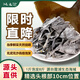 灘之涂日曬厚短干海帶頭250g干貨正宗海帶根昆布特厚海帶煲湯火鍋食材