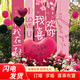 June bride求婚布置室內(nèi)裝飾套裝掛布條幅愛(ài)心氣球七夕情人節(jié)生日禮物送女友