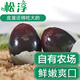松淳皮蛋20枚大號松花蛋無(wú)鉛工藝自制鴨蛋變蛋新鮮溏心69克y 50g 40枚