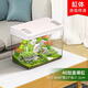 最萌魚(yú)缸新款家用小型觀(guān)賞魚(yú)魚(yú)缸三合一節能水泵過(guò)濾制氧一體機烏龜缸 40X23X27（帶蓋裸缸）