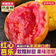 京地達(dá)廣東紅心芭樂番石榴凈重5斤單果125g+軟糯節(jié)日送禮源頭直發(fā)包郵