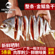 海幽鮮陽江特產(chǎn)金鯧魚干咸魚干金倉淡曬海鮮干貨金昌魚鮮活風干廣東咸魚 金鯧魚干 200g*5袋