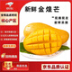 閩域?qū)r金煌芒新鮮現(xiàn)摘現(xiàn)發(fā)應(yīng)季時(shí)令熱帶孕婦新鮮采摘皮薄海南金煌芒 凈重4.5斤【單果250g】 【手工精選】
