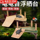 智宙烏龜曬背臺(tái)烏龜缸爬臺(tái)創(chuàng)意造景生態(tài)曬臺(tái)家用小型高水位巴西龜爬架 木色M【仿生態(tài)烏龜曬背臺(tái)】
