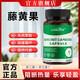 L-CALORIE藤黃果搭柯蘭朵騰黃果油葷碳糖珂蘭朵膠囊代謝塑曲線官方旗艦店 1瓶【體驗(yàn)裝】
