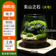 苔蘚微景觀(guān)創(chuàng  )意桌面微觀(guān)造景植物擺件禮物減壓綠植生態(tài)瓶diy材料 玄山之石-大號-（材料包）