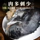 語森憶海參斑冰島進(jìn)口北極冰鮮去內(nèi)臟海參石斑魚海鮮海參魚深海魚無污染 海參斑1.5kg/兩條