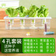 無(wú)土栽培水培生菜種植箱家庭智能蔬菜盆栽幼兒園學(xué)生觀(guān)察種菜作業(yè) 【4孔套裝】送種子+送營(yíng)養液 塑料 送生菜種子