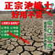 LZJV廣東荷塘泥土壤睡蓮碗蓮水生養花土營(yíng)養土通用型種菜池塘泥有機定 廣東省內50斤