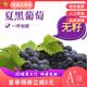 夏黑無籽葡萄現(xiàn)摘黑蜜整串裝新鮮水果孕婦當(dāng)季時令水果禮盒 精選夏黑 嘗鮮2斤裝