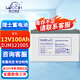 理士蓄電池DJM12100S閥控式鉛酸免維護12V100AH適用于機房UPS電源 EPS電源 直流屏 通信電源