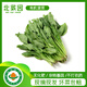 北菜園有機(jī)菠菜赤根250g有機(jī)蔬菜【進(jìn)店多樣加購(gòu)】火鍋食材涮菜