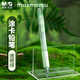 MASMARCU晨光森系考試自動(dòng)涂卡2B鉛筆 單支裝 學(xué)生考試練習專(zhuān)用按動(dòng)自動(dòng)鉛筆 AMP35183透明綠桿