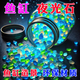 夜光石魚缸造景發(fā)光石頭魚缸裝飾飾品水族箱彩色石頭布景鵝卵石 混色升級款夜光石【1袋裝】約100顆