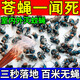 蒼蠅神器滅蠅器蒼蠅香無(wú)味一聞死養殖場(chǎng)飯店家用強力滅蚊子蒼蠅藥 1盒裝【專(zhuān)業(yè)滅蒼蠅】