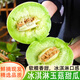 譯蒙之味山東冰淇淋玉菇甜瓜軟糯白蜜香瓜新鮮水果當(dāng)季 5斤精選果【2-4個(gè)】