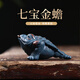 藏壺天下 紫砂茶寵擺件迷你小金蟾可養(yǎng)茶桌配件七寶金蟾四色可選 綠泥款