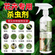 海布森殺蟲藥花卉植物殺蟲劑花草蚜蟲月季花室內(nèi)花噴霧除蟲劑專用蚧殼蟲 【只殺蟲不傷花】植物花卉殺蟲劑