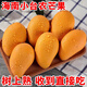 京興果海南小臺農(nóng)芒果新鮮當季特產(chǎn)小臺芒金孕婦煌熱帶水果 3斤普通裝