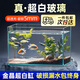 坤寧王金晶超白玻璃魚缸桌面造景小魚缸家用客廳裸缸一體缸35*20*22cm
