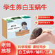 耕耘嚴選寵物白玉蝸牛活體套裝科學實驗教學觀賞大小蝸牛爬寵箱褐云瑪瑙螺 標準套裝