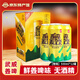 西涼姜飲姜啤果飲果啤無(wú)酒精姜汁味碳酸飲料易拉罐裝西北甘肅武威特產(chǎn) 【大罐姜啤 整箱】 500mL*12罐