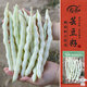 壽禾 蕓豆種子苗九粒白豆角搭架菜豆蔬菜種籽 雪玲瓏白不老種子60g