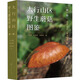 太行山區野生蘑菇圖鑒 第1卷 圖書(shū)