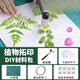 澳顏萊植物拓染樹葉敲拓染布工具套裝材料包帆布包印染錘子拓印diy套裝 植物拓染工具套裝