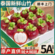 御京鮮泰國(guó)進(jìn)口山竹【順豐/JD-多地次日達(dá)】進(jìn)口油麻竹當(dāng)季水果禮盒裝 凈重3斤-3A 甄選S級(jí)果