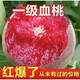 齊哲新品種嫁接貴妃血桃樹(shù)苗甜度21當年結果南北方種植耐寒特大果樹(shù)苗 1年苗 一顆裝、90cm(含)-99cm(含)