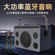 金正（NINTAUS）便攜式戶外K歌專業(yè)設(shè)備直播無線藍(lán)牙音箱大音量小型家用手提歌詞音響帶聲卡 N5-19 N5-19寶石藍(lán)【典藏旗艦版】