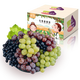 疆小提新疆特產(chǎn)吐魯番玻璃翠葡萄吐魯番新鮮水果無(wú)籽玻璃脆紅提禮盒送禮 三色葡萄4斤禮盒裝 1箱