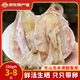 海鮮頌生曬魷魚母帶卵魷魚干海產(chǎn)品福建東山特產(chǎn)魷魚干 海鮮干貨 年貨禮 魷魚母250g約(3-8條）