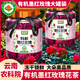 滇品客農(nóng)科院云南凍干墨紅玫瑰花茶冠精選大朵重瓣洛神玫瑰花茶女人泡水 【有機(jī)認(rèn)證】凍干墨紅玫瑰花茶100g*2罐